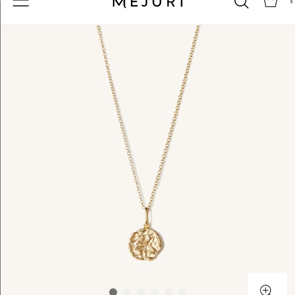 Mejuri gold vermeil iris medallion necklace